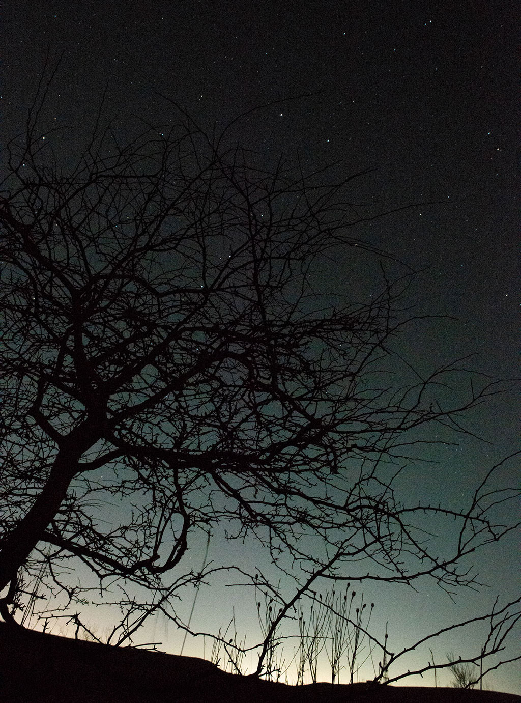 'Dark Skies', Eaglesham Moor, photograph by Alia Mobarik